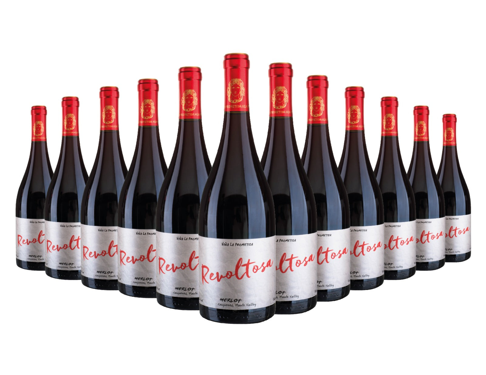 Pack Revoltosa Merlot x12